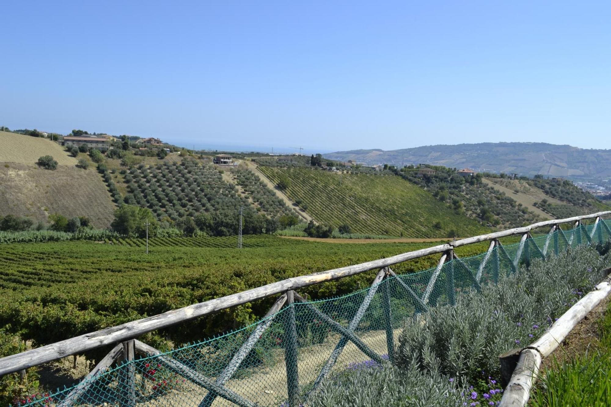 Agriturismo Il Sapore Della Luna Casa de hóspedes Monteprandone Exterior foto