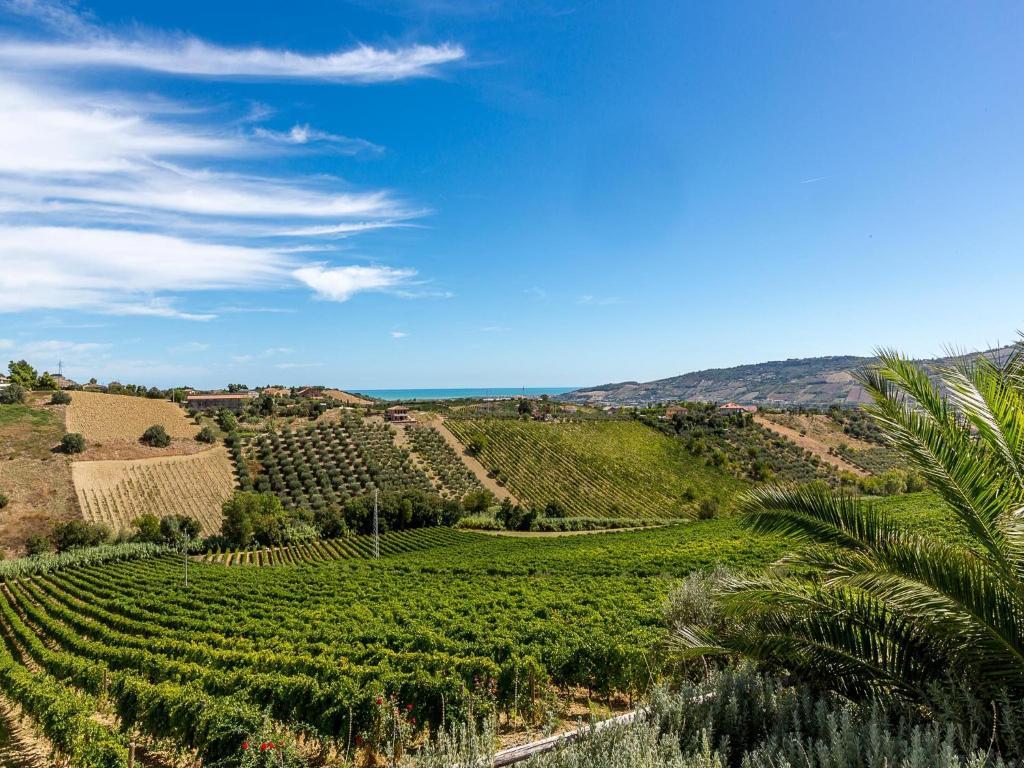 Agriturismo Il Sapore Della Luna Casa de hóspedes Monteprandone Exterior foto