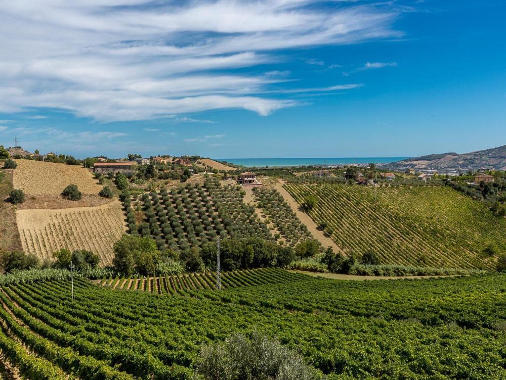 Agriturismo Il Sapore Della Luna Casa de hóspedes Monteprandone Exterior foto